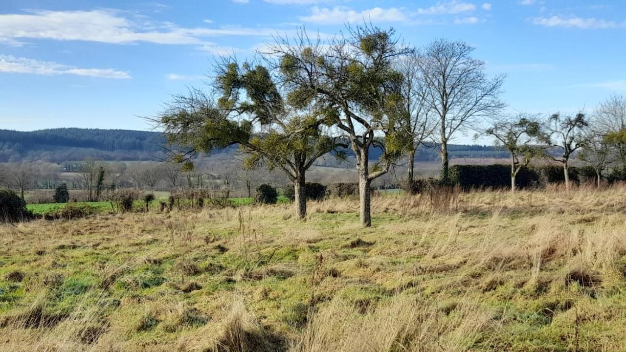 Gite Cottage Chaleureux En Pleine Campagne Vue Sur Les Monts Et Forets Et Le Chateau De Carrouges Zewnętrze zdjęcie